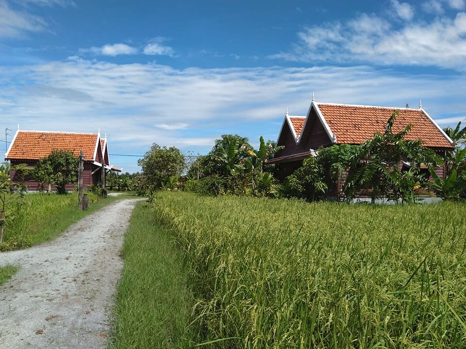 SRAE bungalows beside the rice paddy on West Baray Road